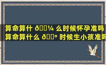 算命算什 🌼 么时候怀孕准吗（算命算什么 🐺 时候生小孩准吗）